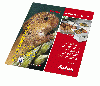 MOUSE PAD JET, 1 KIT