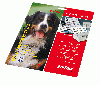 BUSINESS CARD JET, A4, 10 Blatt (100 Cards)