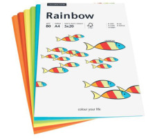 PAPYRUS Rainbow Mixpack intensive 100 feuilles, 88043188