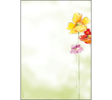SIGEL Motiv-Papier A4 Spring Flowers 90g,50 Blatt, DP123