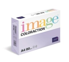 ANTALIS Universal Papier A4 120g, forest 250 feuilles, 266689