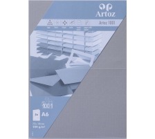 ARTOZ Cartes 1001 A6 220g, graphit 5 feuilles, 107322262