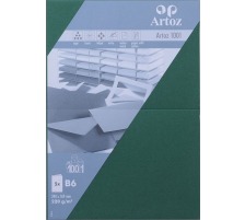 ARTOZ Karten 1001 B6 220g, grn 5 Blatt, 107362263