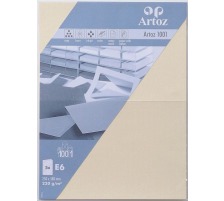 ARTOZ Karten 1001 E6 220g, chamois 5 Stck, 107372262