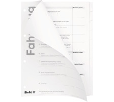 BIELLA Rpertoires carton Expert A4 blanc, 10 pcs., 465011290