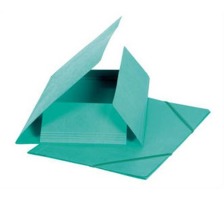 BIELLA Dossier ferm. lastique A4 vert, 355gm2 200 flls., 178401.3