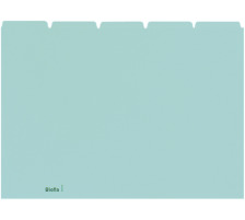 BIELLA Cartes-quides blanco A4 bleu, 21045505
