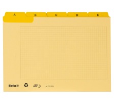 BIELLA Cartes-quides A5 jaune A-Z, 21952520