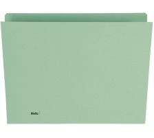 BIELLA Vertikalmappe A4 grn 100 Stck, 25542430