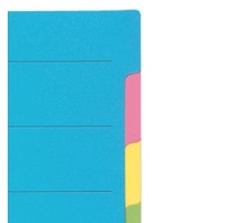 BIELLA Rpertoires carton couleur A4 6 pcs., plein, 461406