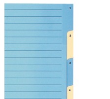 BIELLA Rpertoires carton couleur A4 1-6, 462446