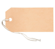 BIELLA tiquette  attacher 50x100mm 50 pcs., 561100