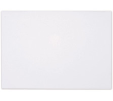 BROLINE Couvert o/Fenster C4 120g, weiss 10 Stck, 306108