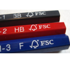 CARAN D'ACHE Crayon Ecolier Edelweiss HB 4 pcs. Blister, 341.372