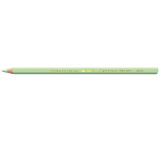 CARAN D'ACHE Farbstifte Supracolor grn, 3888.221