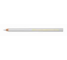 CARAN D'ACHE Colour Block argent FSC metallic, 494.498