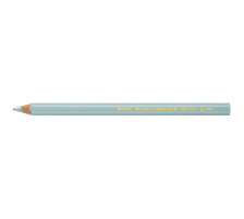 CARAN D'ACHE Colour Block vert FSC metallic, 494.71