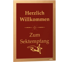 DURABLE Sichtfenster Magaframe A4 gold, selbstklebend 2 Stck, 487230