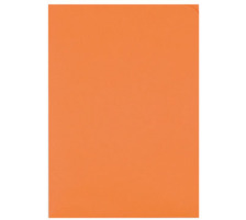 ELCO Sichthlle Ordo Discreta A4 orange, ohne Fenster 100 Stck, 29466.82