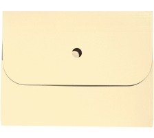 ELCO Dossier d'organisation Ordo A4 chamois 25 pcs., 29494.41