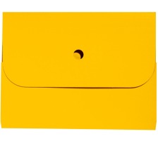 ELCO Dossier d'organisation Ordo A4 janue 25 pcs., 29494.42