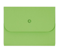 ELCO Dossier d'organisation Ordo A4 vert 25 pcs., 29494.62