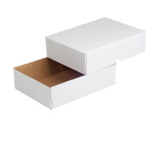 ELCO Paperbox Pac-it 300x220x45mm blanc 5 pcs., 74565.12