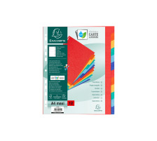 EXACOMPTA Rpertoires carton A4 12 pcs., 2612E
