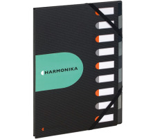 EXACOMPTA EXACTIVE Harmonika A4 schwarz, 55334E
