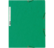EXACOMPTA Gummibandmappe A4 grn, 55503E