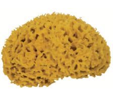 FRINA Eponge naturelle 16cm, 916.16