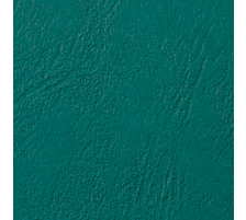 GBC Couverture reliure A4 vert, 250g 100 pcs., CE040045