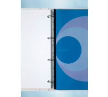 GBC Bandes p. reliuere PP A4 21 troux, US 100 pcs., IB195020