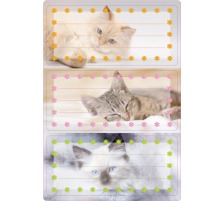 HERMA Etiquettes cole sujet 6 pcs., 5569