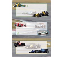 HERMA Etiquettes cole sujet 6 pcs., 5577