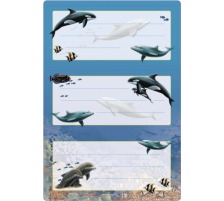 HERMA Etiquettes cole sujet 6 pcs., 5579