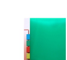 KOLMA Livre de prsent. Easy A4 verde, 20 poches, 03.752.01