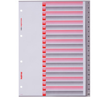 KOLMA Register Longlife A4 grau, 20-teilig, 19.120.03