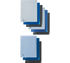 KOLMA Register Vista A4 transparent, 1-12, 4-Loch, 21.112.00