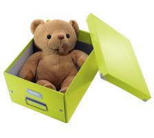 LEITZ Click & Store Box de range. A4 vert, 60440064