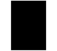 MAGNETOPLAN Papier magntique A4 noir, 1266012