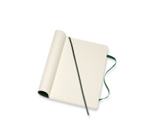 MOLESKINE Carnet SC L/A5 point, vert, 240 pages, 600042