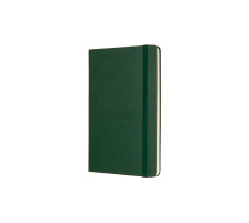 MOLESKINE Carnet HC L/A5 point, vert, 240 pages, 629094