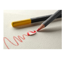 MOLESKINE Crayons aquarelle 12 pcs., 710463