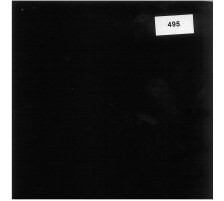 NEUTRAL Papier bordager noir 3mx50cm, 495