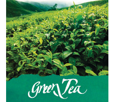ONLINE Encre 15ml fleurer Green Tea, green, 17065/3