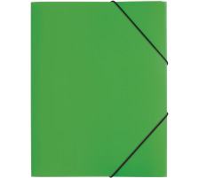 PAGNA Dossiers lastiques A4 vert PP 3 pages, 21613-05