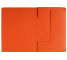 PAGNA Dossiers lastiques A4 orange, 24007-12