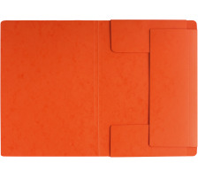 PAGNA Dossiers lastiques A4 orange, 24007-12