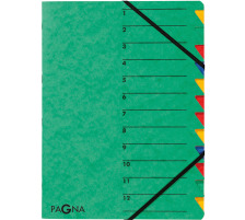 PAGNA Ordnungsmappe EASY A4 grün 12 Fächer, 24131-03
